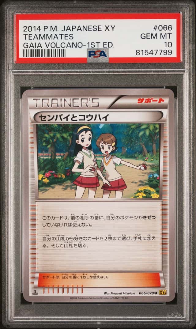 TEAMMATES