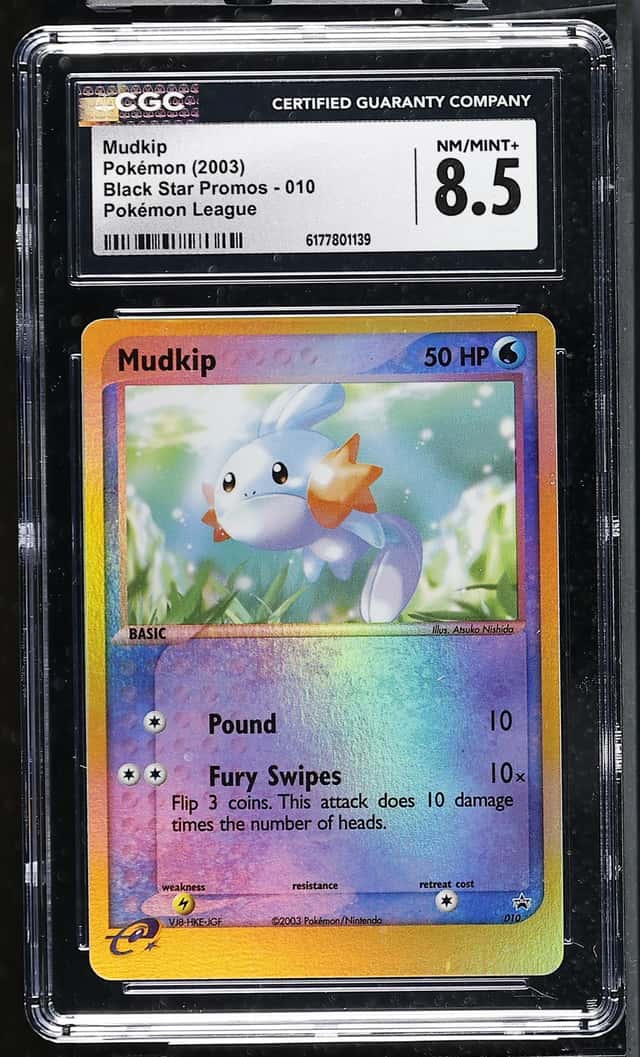 Mudkip