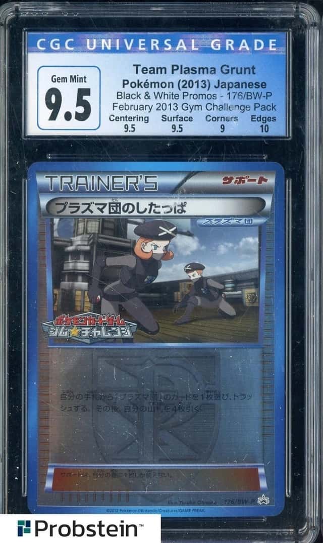 Team Plasma Grunt