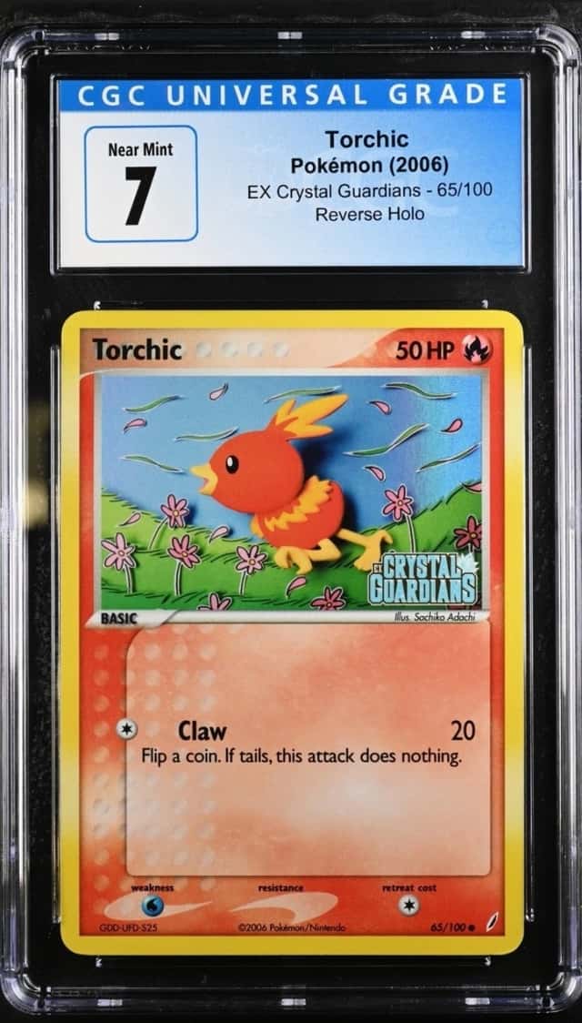 Torchic