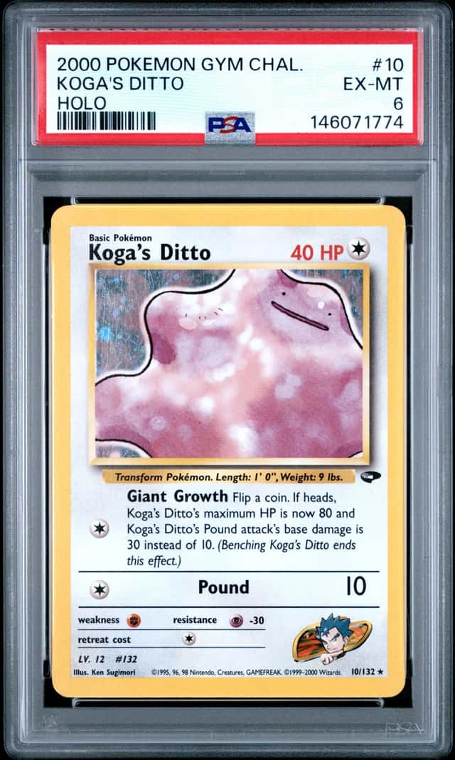 Koga's Ditto
