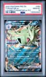Tyranitar Ex