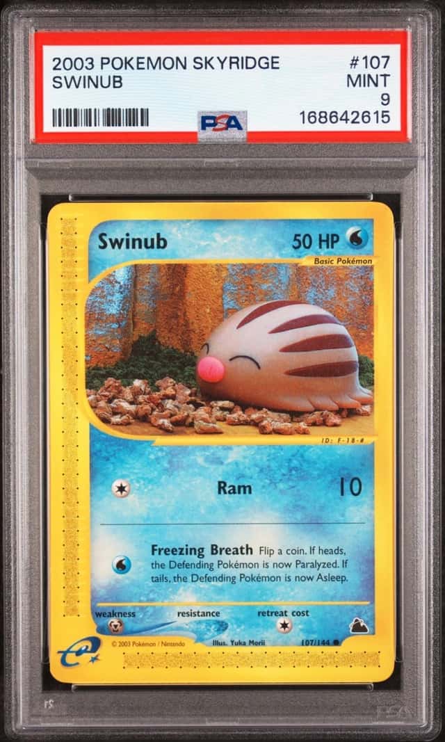 Swinub
