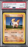 Ponyta