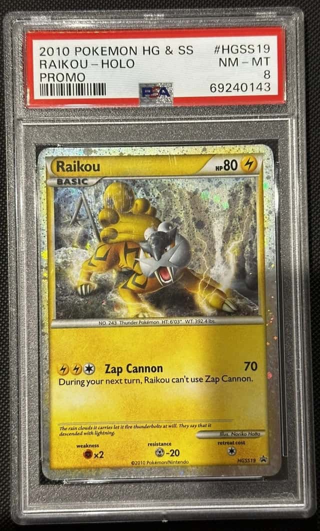 Raikou
