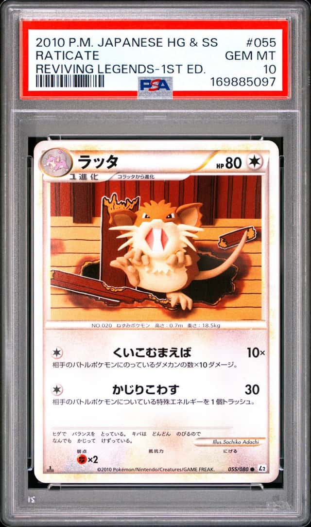 Raticate