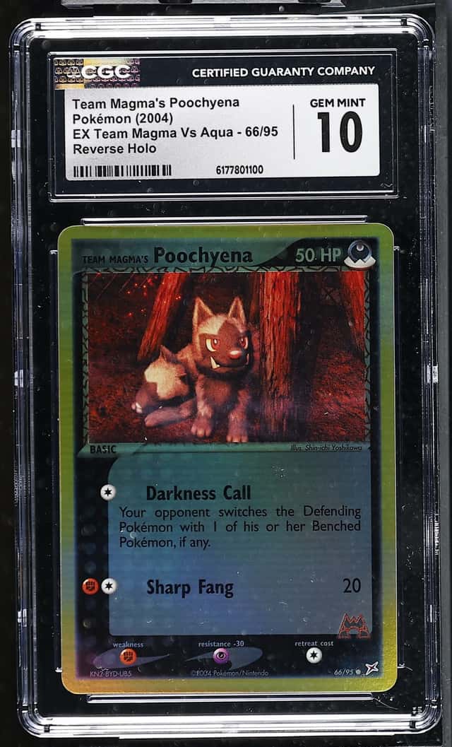Magma's Poochyena