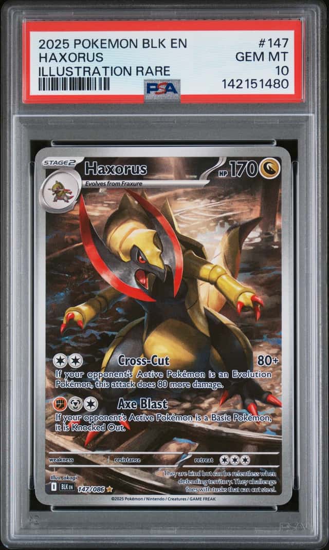 Haxorus