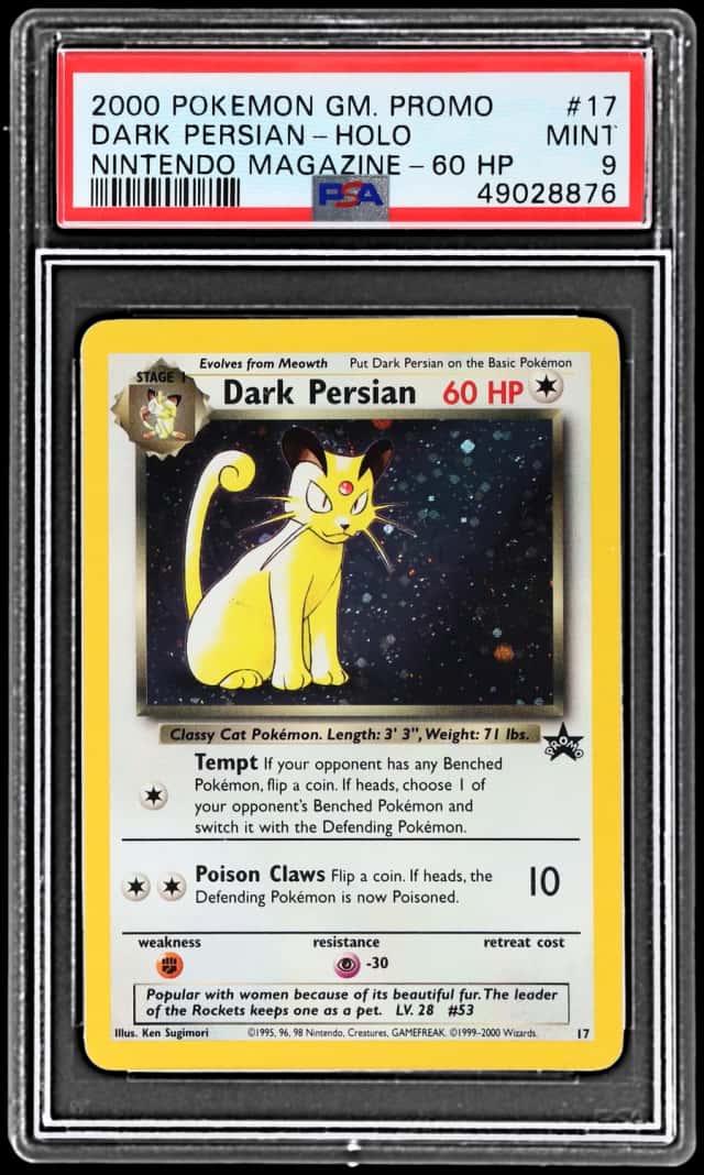 Dark Persian