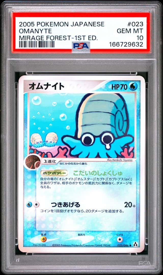 Omanyte