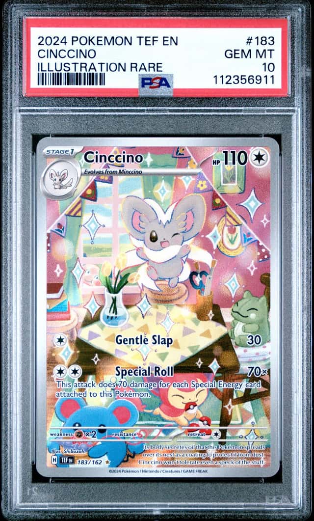 Cinccino