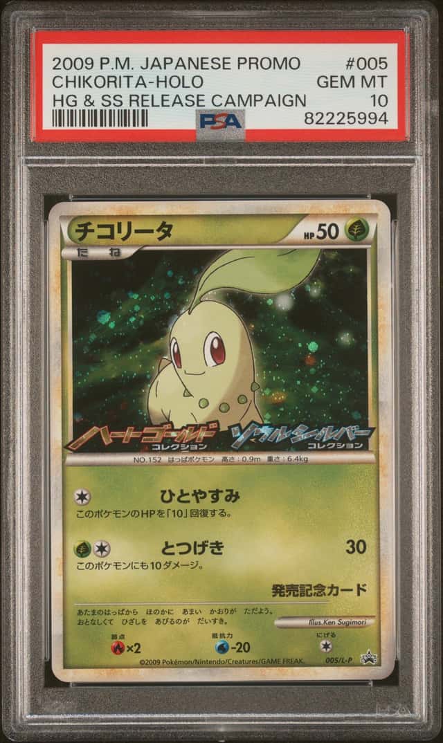 Chikorita
