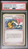 Tropical Tidal Wave