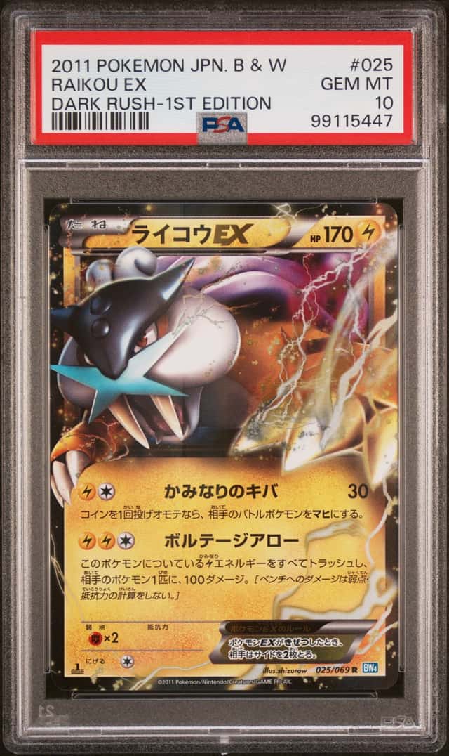Raikou EX