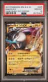 Raikou Ex