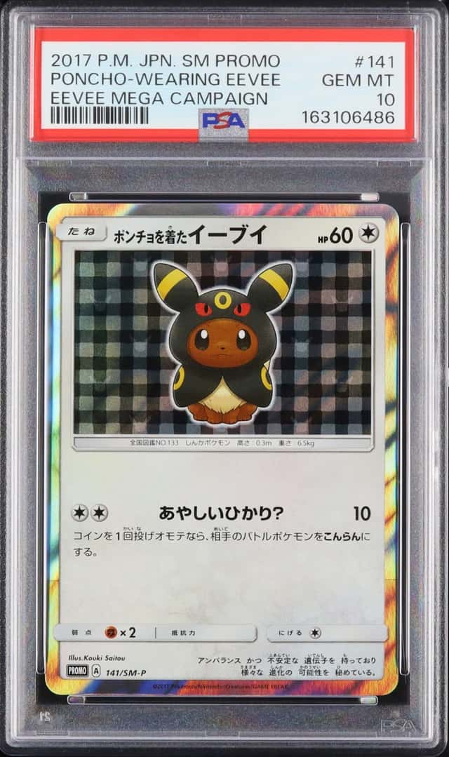 Poncho-Wearing Eevee