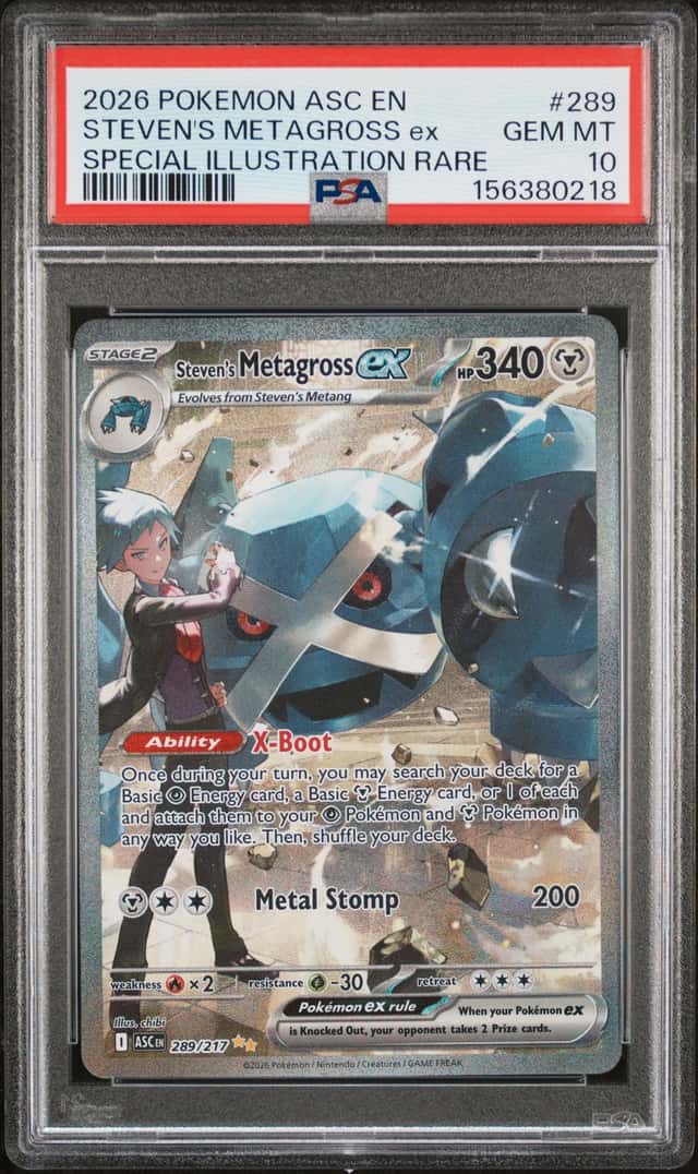 STEVEN'S METAGROSS ex