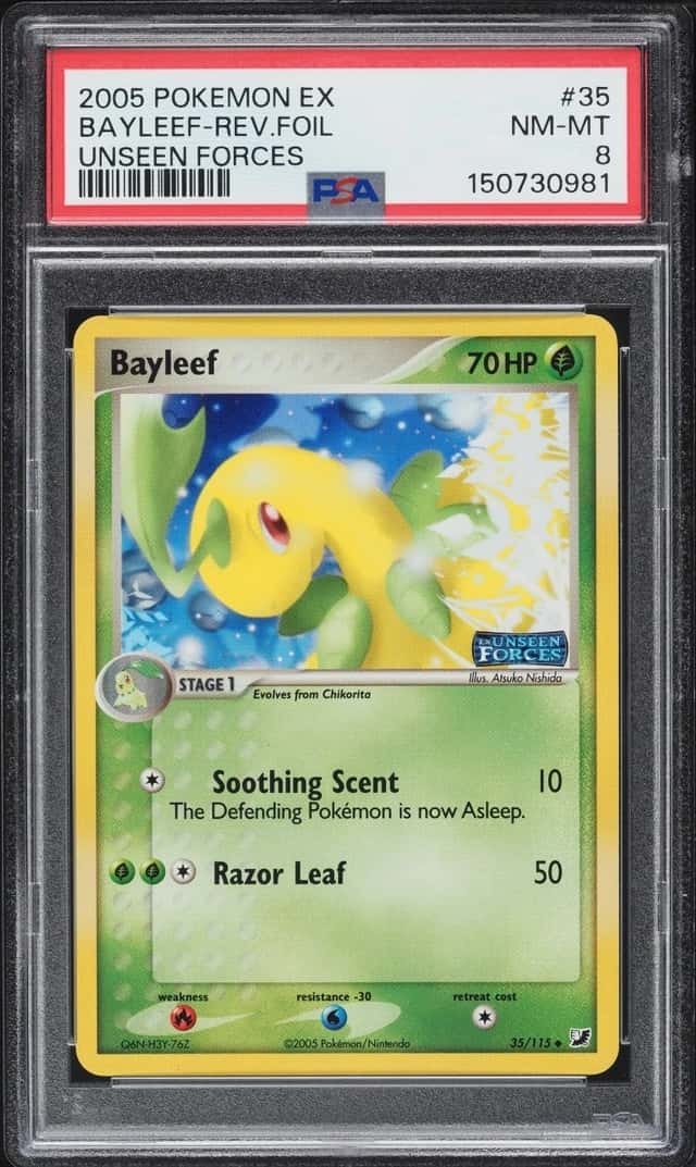 Bayleef