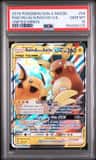 Raichu & Alolan Raichu Gx