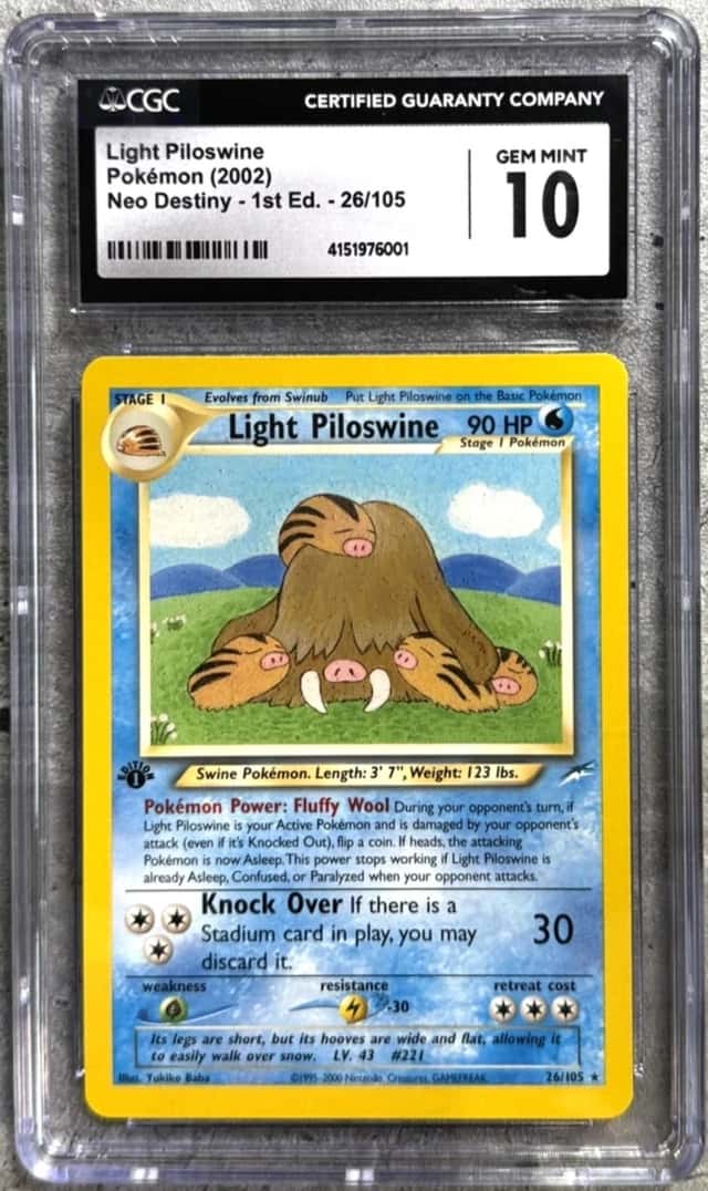 Light Piloswine