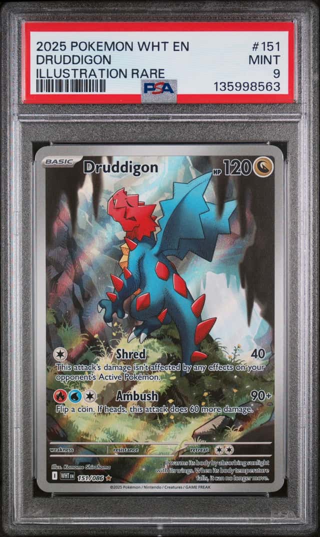 Druddigon