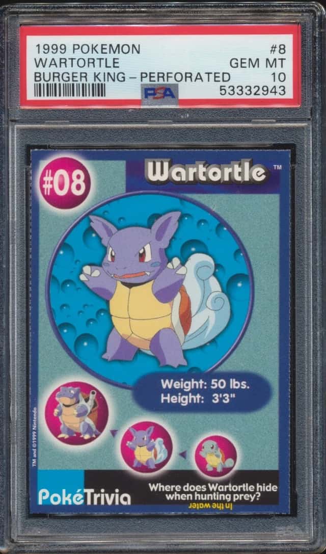 Wartortle