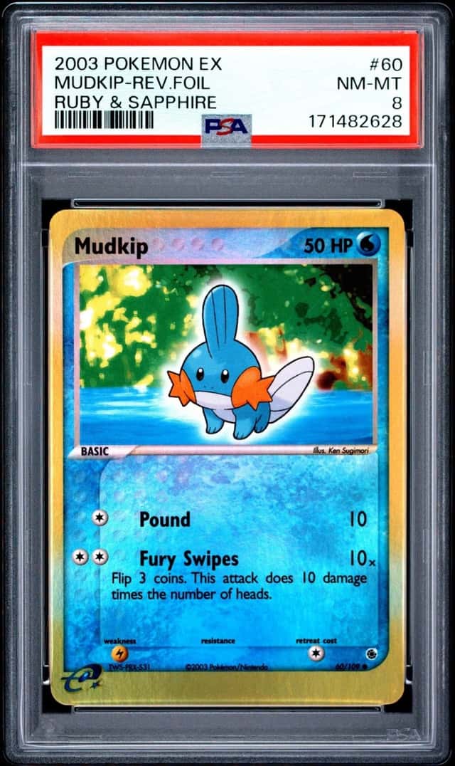 Mudkip