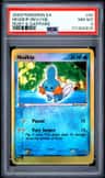 Mudkip