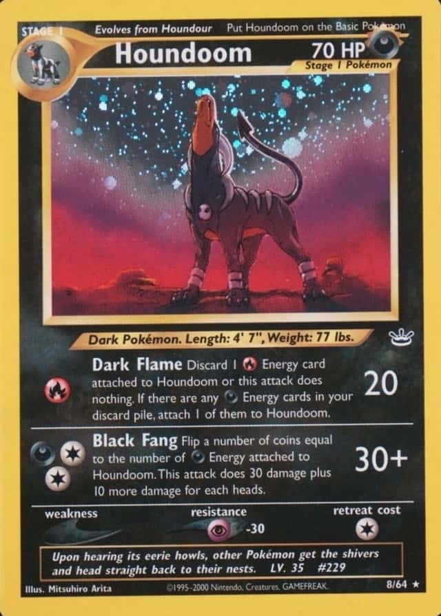 Holo