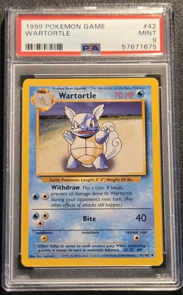 Wartortle