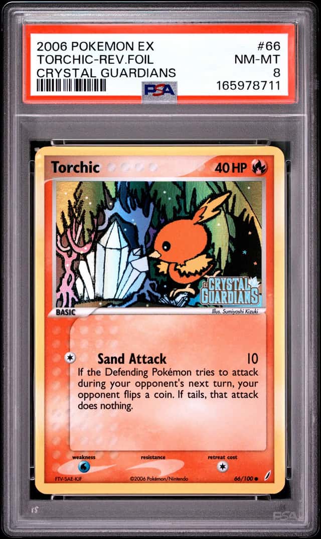 Torchic