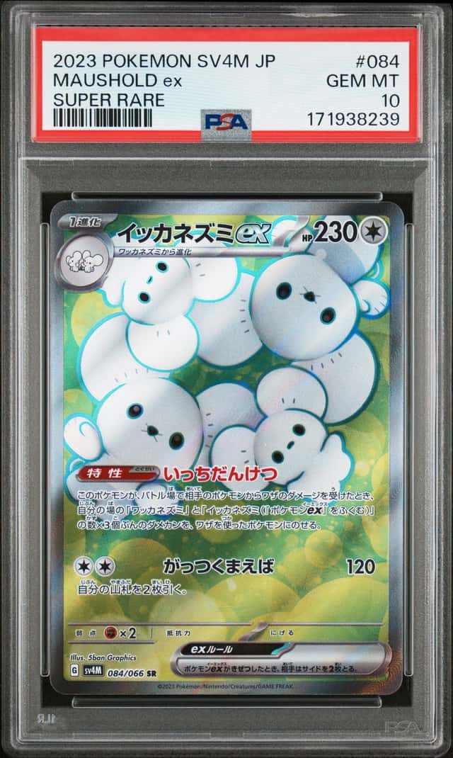 MAUSHOLD ex