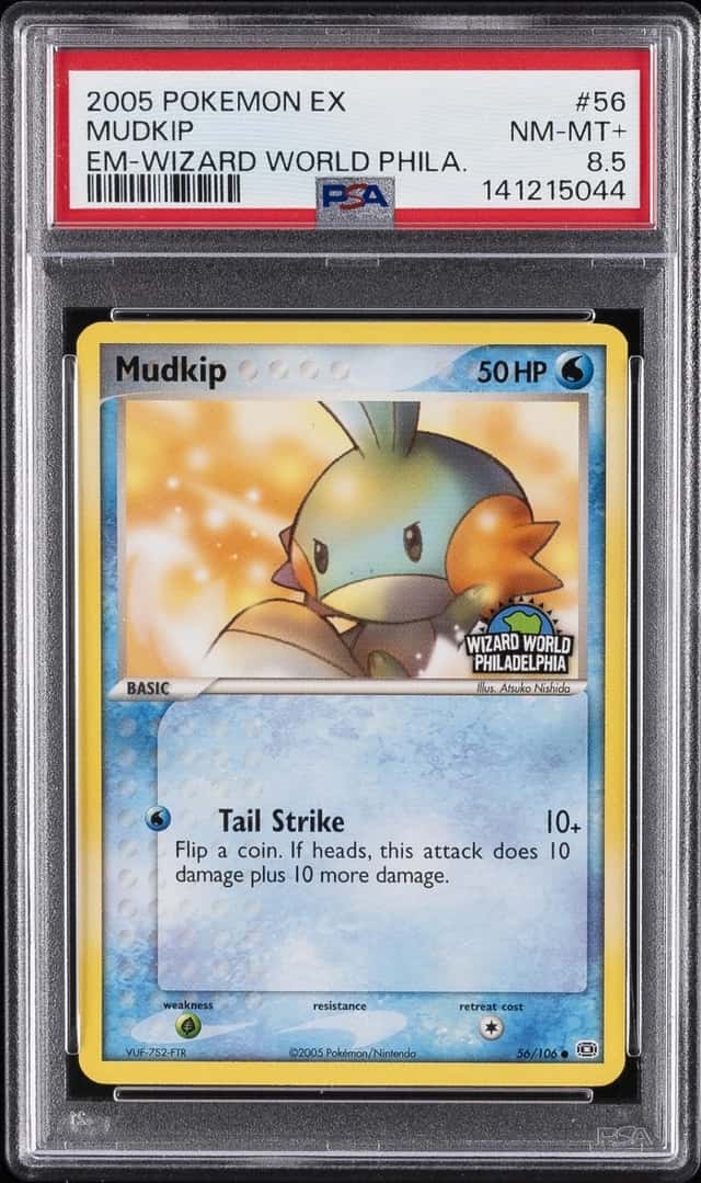 Mudkip
