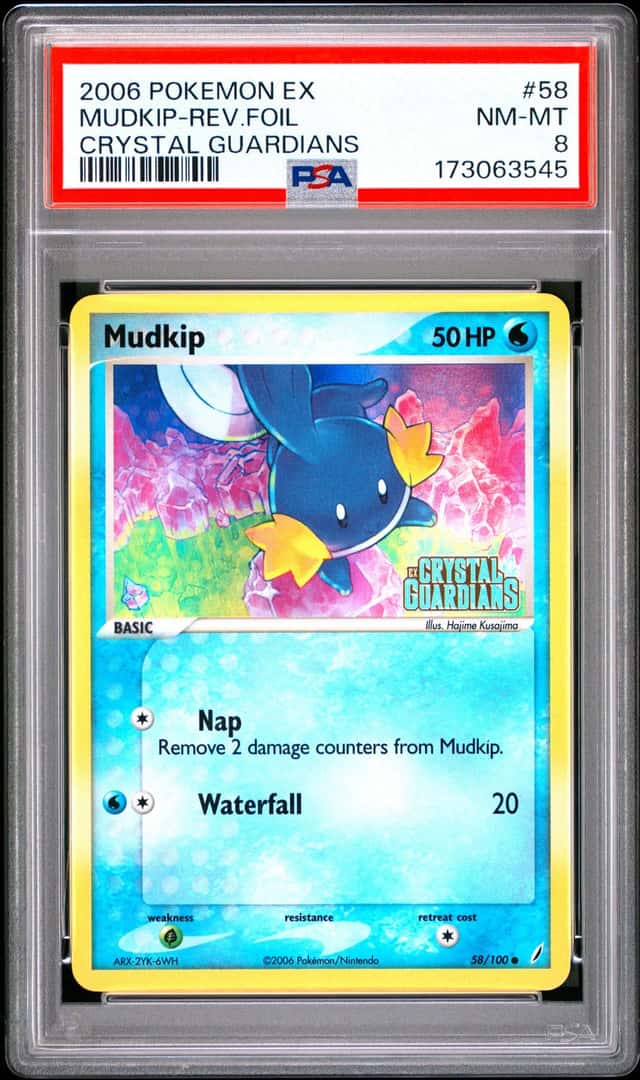 Mudkip