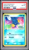 Mudkip