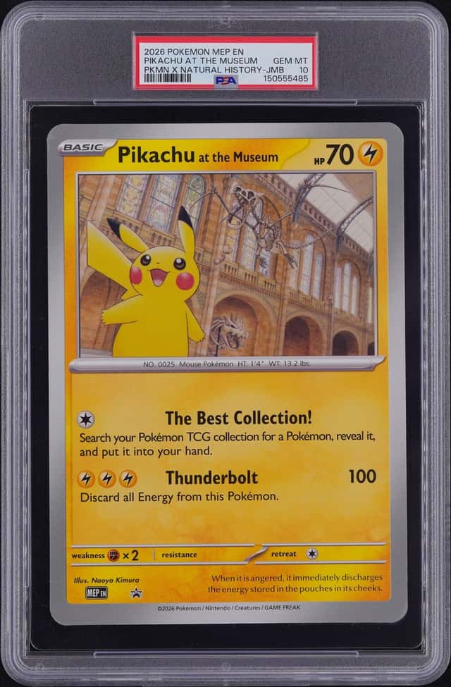 Pikachu At The Museum
