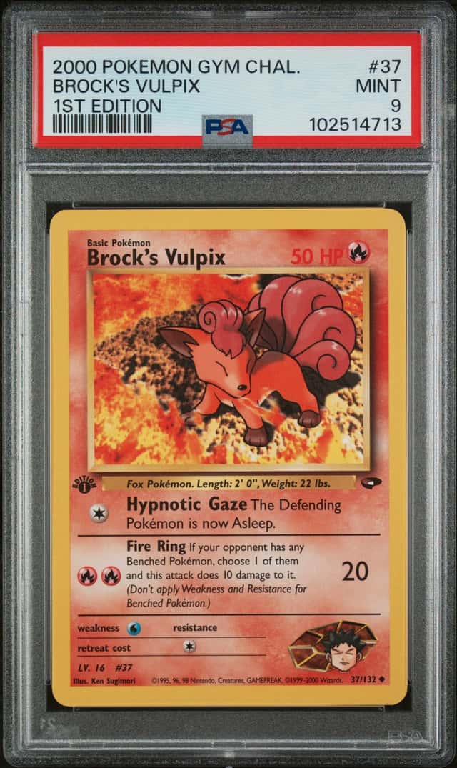 Brock's Vulpix