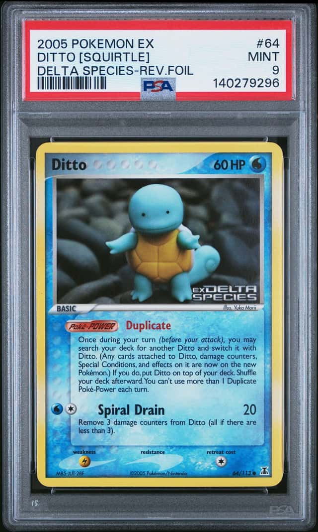Ditto [Squirtle]