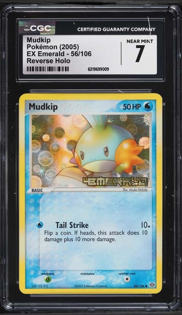 Mudkip