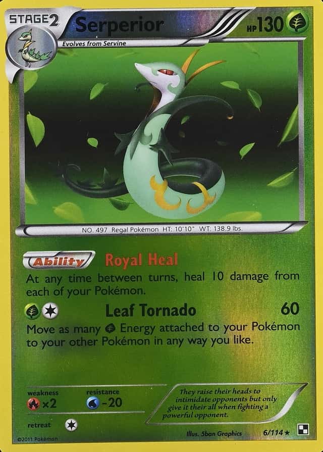 Reverse Holo