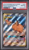 Raichu & Alolan Raichu Gx