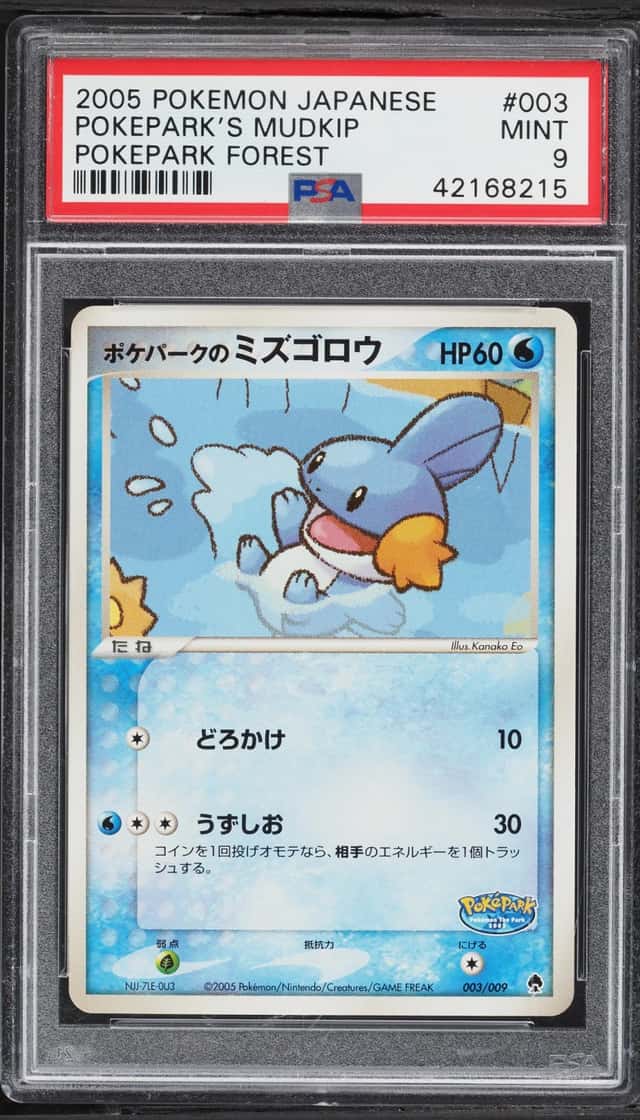 Pokepark's Mudkip