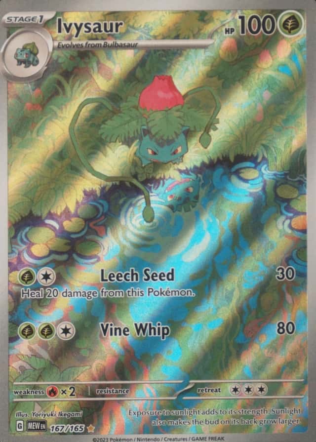 Base / no variant