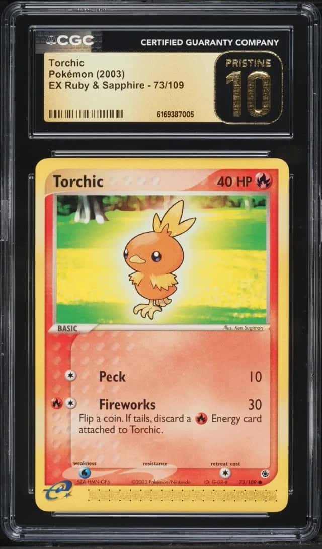 Torchic
