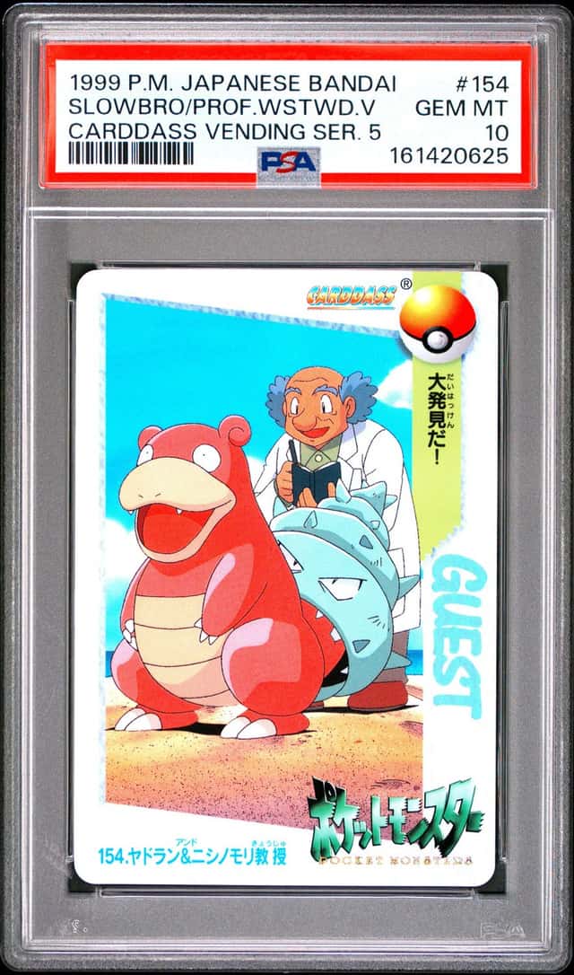 SLOWBRO/PROF.WSTWD.V