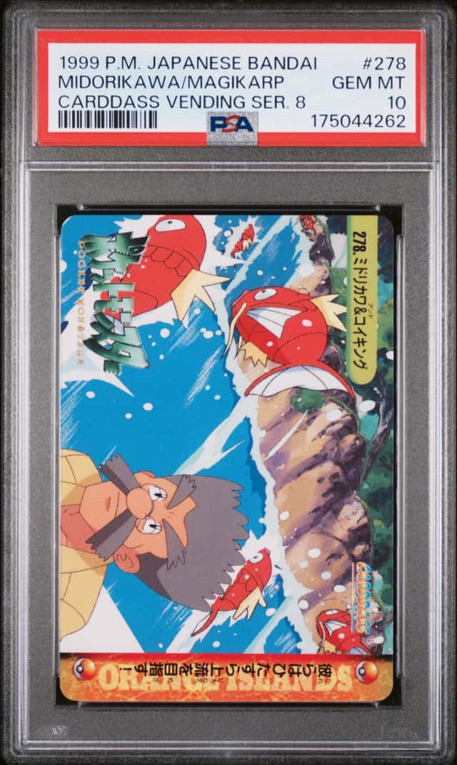 Midorikawa/Magikarp