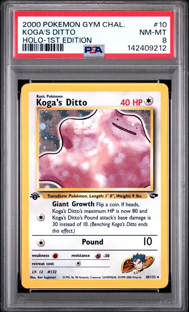 Koga's Ditto