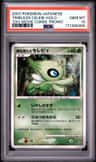 Timeless Celebi