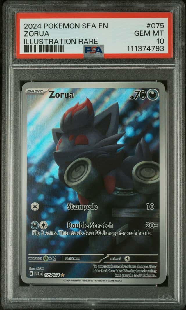 Zorua