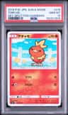 Torchic